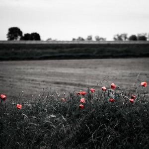 非洲裸体男人的JJ
