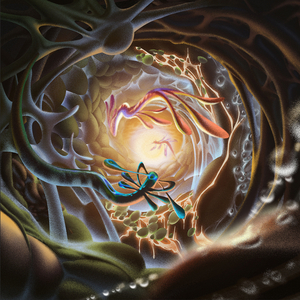 非洲裸体男人的JJ
