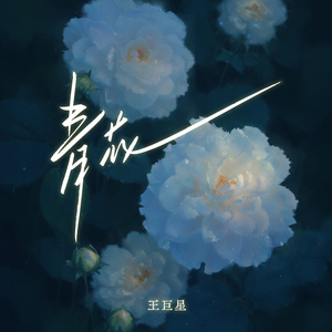 非洲裸体男人的JJ
